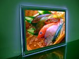 A4 Wall Mounted LED Advertising Light Box (CSW01-A3L02)