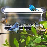 Wholesale Hanging Acrylic Bird Feeder