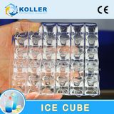 Koller High Efficiency Cube Ice Machine 10tons for Fishery Bar