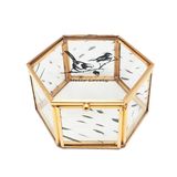 Luxury New Custom Gold Metal Glass Jewelry Gift Box (Jb-1075)
