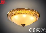 Ceiling Light with Crystal Dressed