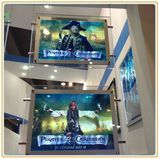 Customized Hanging Acrylic Realty Crystal LED Light Box (A3)