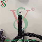 Party and Wedding Decoration LED String Lights