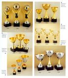 Sports Trophy