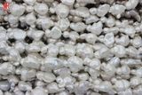 20-25mm Large Baroque Pearls Strand