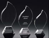 Optical Leaves Crystal Trophy