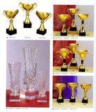 Sports Trophy