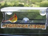 Clear Window Bird Feeder Squirrel Proof