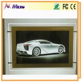 Acrylic LED Light Panel for Advertising Exhibition