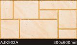 Foshan Factory for 3D Inkjet Printing Tiles (AJK902A)