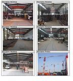 Tower Cranes and Building Hoists