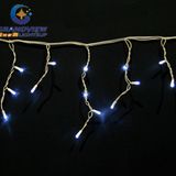 144 LED Cool White Color 16 Drops Icicle Curtain (L3mxH20/40/60cm)