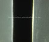 Highlight PMMA LED Light Guide Panel for House Decoration