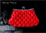 2014 Fashion Handbags Evening Clutch Bags Trendy (XW004)