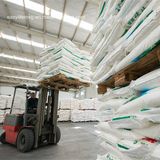 High Purity 99% Monosodium Glutamate Msg Manufacturer