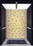 Car Elevator / Lift, Factory Price