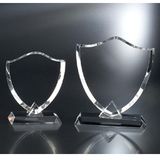 Prize Cup Glass Trophy Award
