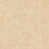 Popular Floor Tile for Office Decoration 60*60