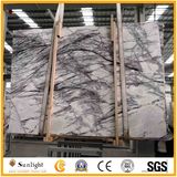 Polished Heaven Bird Marble Slabs for Wall and Flooring and Vanity Tops