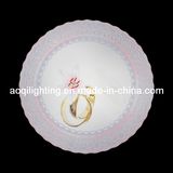 2014 Modern LED Ceiling Lamp 22005