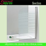 Hot New Design Bathroom Door Design
