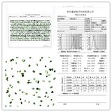 DMP-C Synthetic Diamond Powder Industrial Diamond for Abrasive