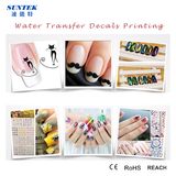 Inkjet Waterslide Decal Paper Ce/RoHS/Reach Approval