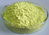 Natural Peanut Shell Extract Luteolin 98% Luteolin Peanut Powder
