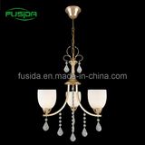 European Iron Penant Lighting, Lamp with Glass (D-8146/3)