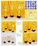 Sports Trophy