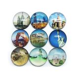 Custom OEM Fashionable Glass Fridge Magnet Hx-7198