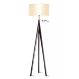 Modern and Fshion Decorative Floor Lamp (ML-8806)