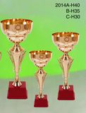 Sports Trophy