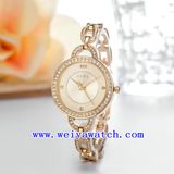 Watch Customize Stainless Steel Watch (WY-039B)
