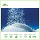 Wholesale Top Grade Zero Calorie Erythritol