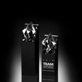Diamond in The Rough Crystal Award (#1056, #1057, #1058)