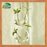 Water Flower Vases Hanging Glass Vase