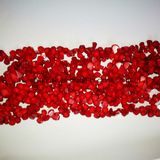 Fashion Stone Natural Crystal Red Sea Bamboo Coral Drop Bead