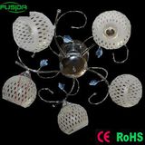 Modern Style and Different Body Color Chandelier Ceiling Light (X-9450/5)