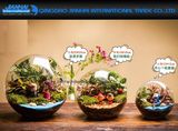 Table Decoration Ball Glass Flower Planter Vase Terrarium Container