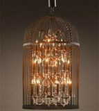 Phine Decorative Birdcage Fashion Pendant Lamp Interior Lighting with Crystal