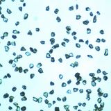 Industrial Crushed Synthetic Diamond Grit for Abrasives