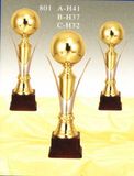 Sports Trophy