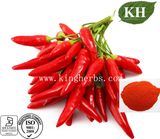 High Pure Nature Red Pepper Extract Capsaicin