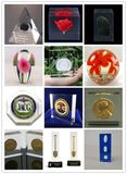 Custom Obejects Encased Clear Acrylic Embedment