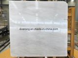 Rhino White Marble Slab for Foor Tile, Wall Tile& Countertop