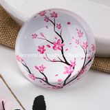 Large 3.9” Magnifying Glass Dome Multi Pictures