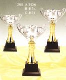 Sports Trophy