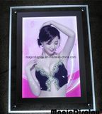 LED Crystal Illuminated Sign Board