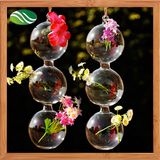 Hanging Glass Flower Vase Mouth Blown Glass Vase